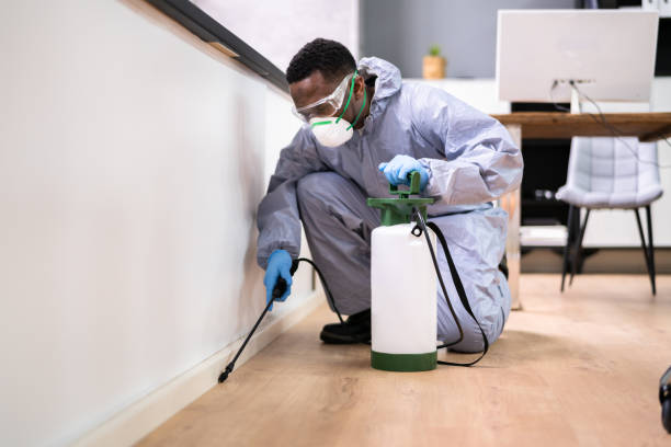 Best Commercial Pest Control  in Massapequa, NY